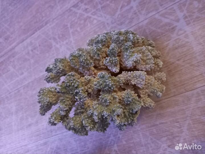 Декорации для аквариума