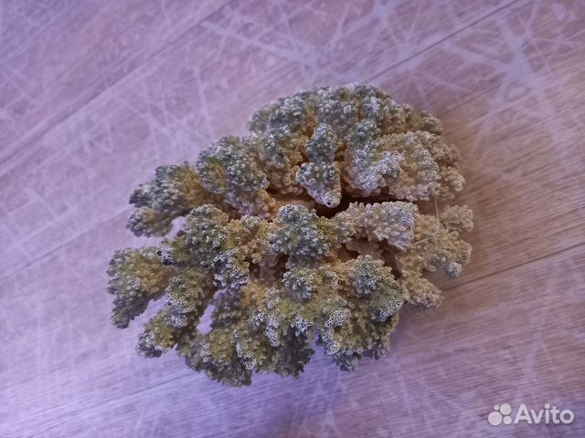 Декорации для аквариума