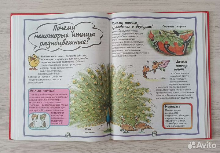 Детская энциклопедия