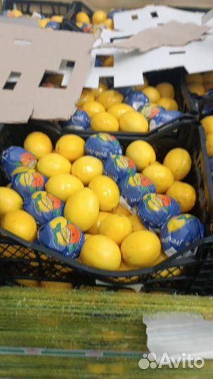 Мандарины оптом