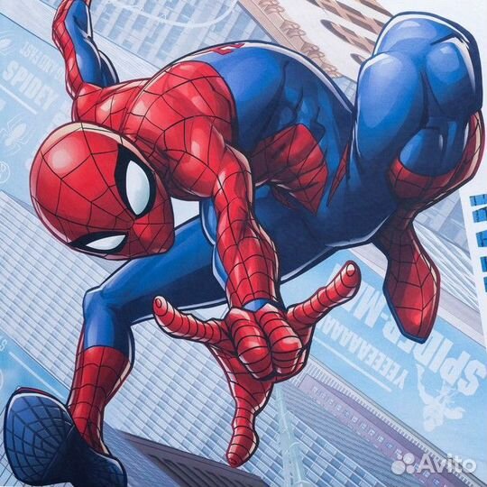 Постельное бельё 1.5 сп 'Человек-Паук Супергерой'