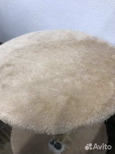 Когтеточка бу