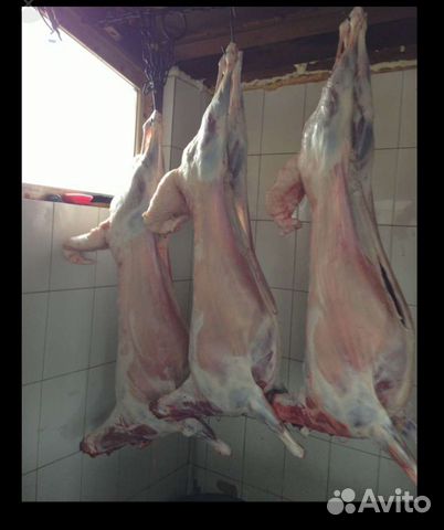 Ягнятина, Баранина мясом и живым весом