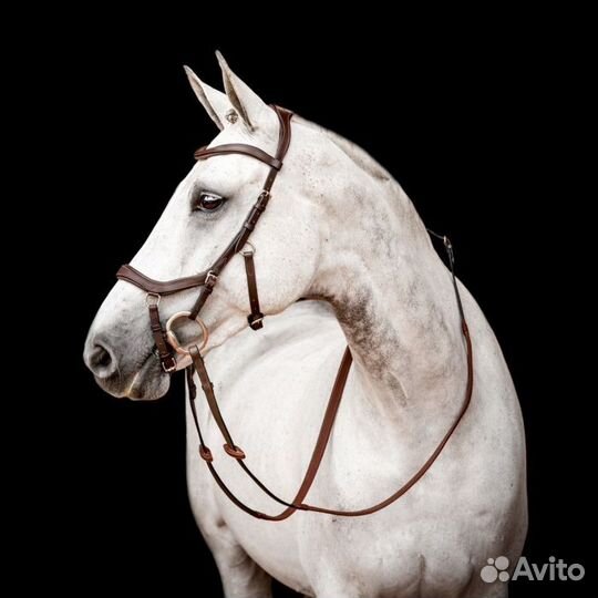 Новые уздечки Rambo Micklem