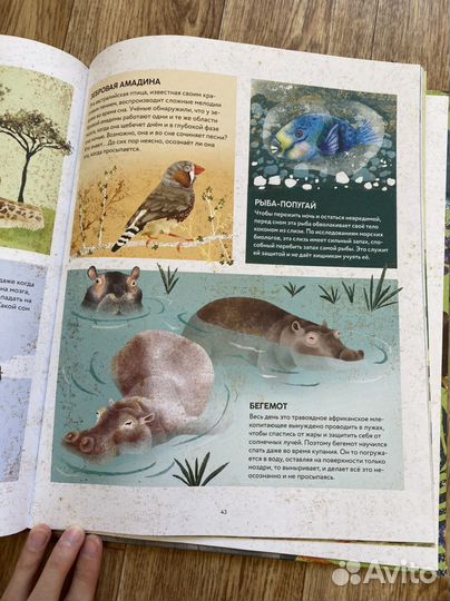 Детские иллюстрированные книги