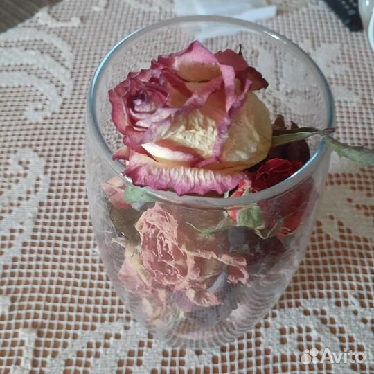 Сухие цветы для творчества