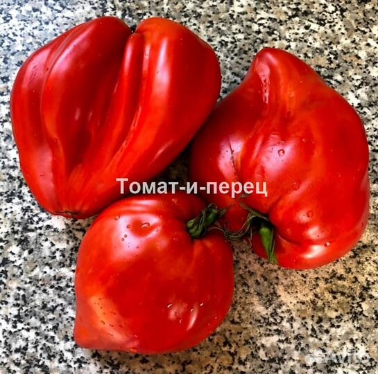 Семена томатов и перцев