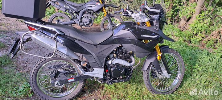 Racer ranger 300
