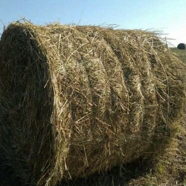 Продам сено в тюках
