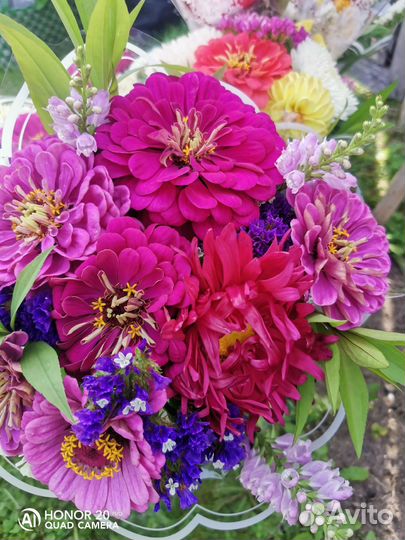 Живые цветы букеты