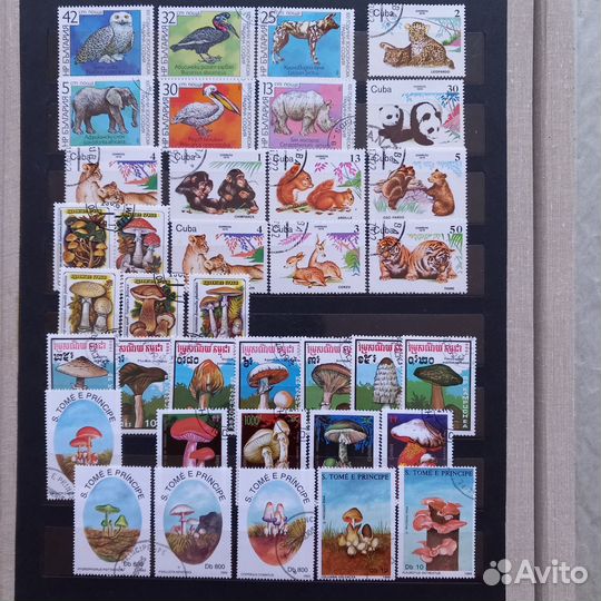 Почтовые марки животные, насекомые, бабочки