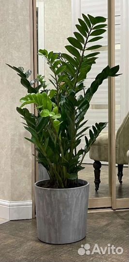 Кашпо IKEA новое