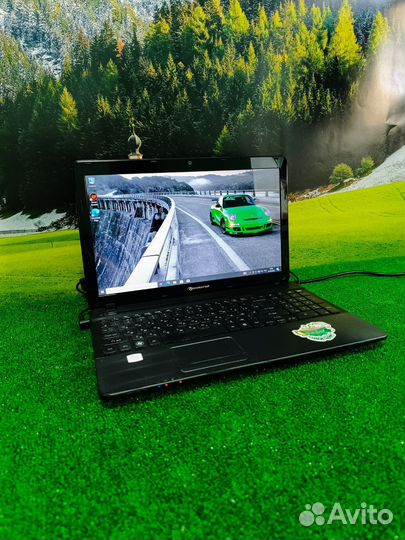 Шустрый ноутбук Packard bell для работы и учёбы