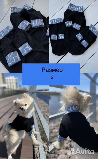 Кофта Dior для собак той-терьер, чих