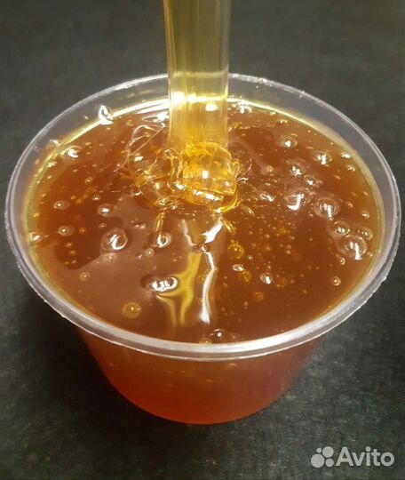 Мёд дягиль (таёжный, сибирь) 2022