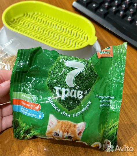 Набор для выращивания травы для питомцев