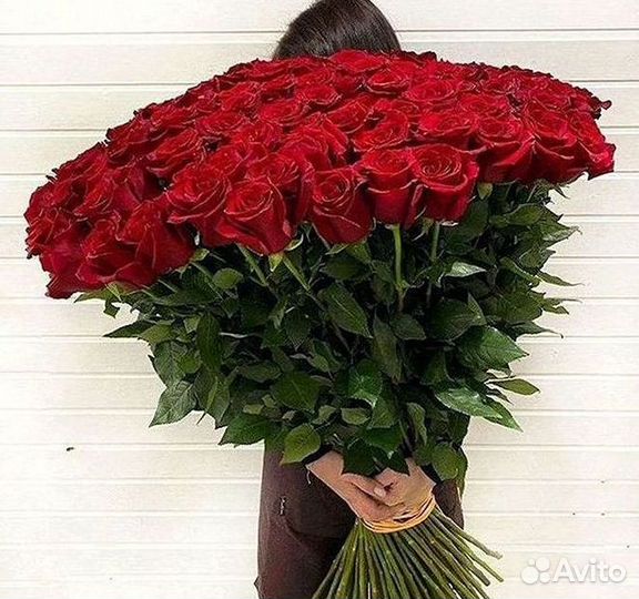 Высокие розы