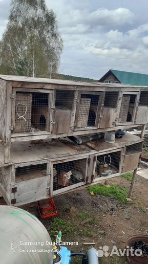 Клетки для кроликов бу