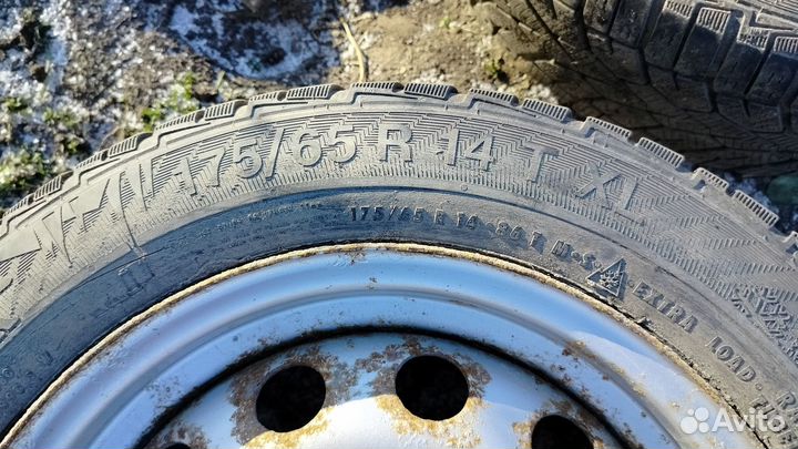 Gislaved Nord Frost на ваз