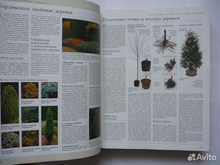 Современный сад Энциклопедия Кристофер Брикелл