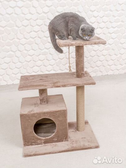 Когтеточка Домик для кошек / Игровой комплекс