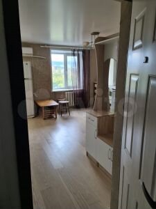 1-к. квартира, 28 м², 7/9 эт.