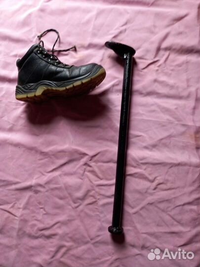 Лапа сапожная