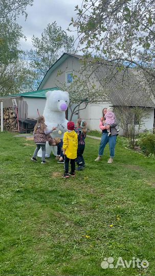 Поздравление белого мишки