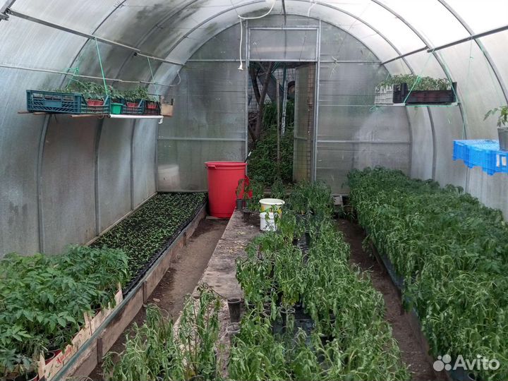 Теплица 3 на 6 из поликарбоната