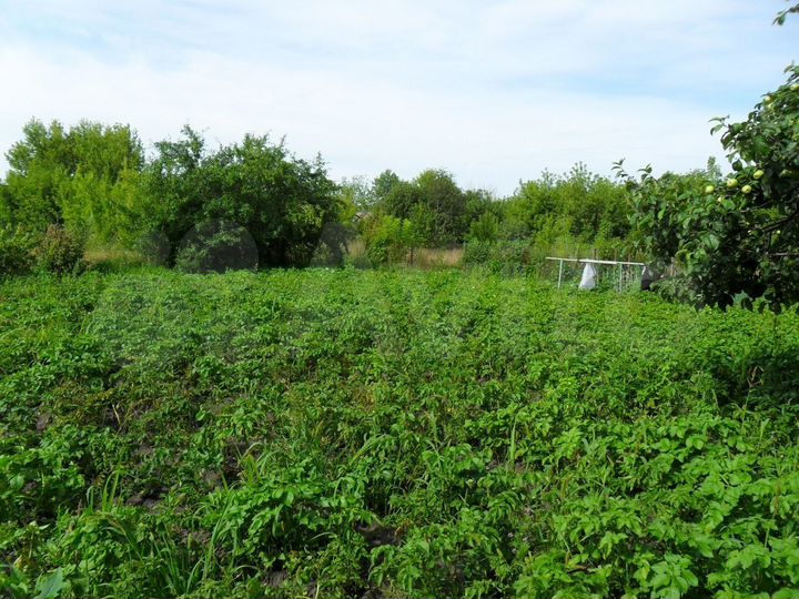 Дом 56 м² на участке 16 сот.