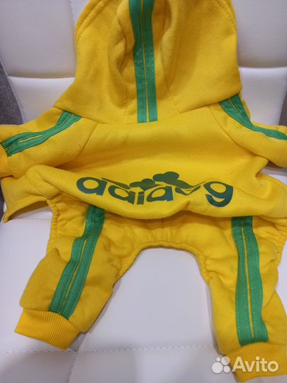 Одежда для собак