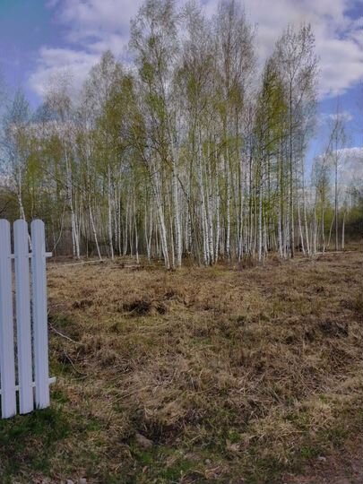 Участок 20 сот. (СНТ, ДНП)