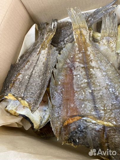 Лангустины Крупные