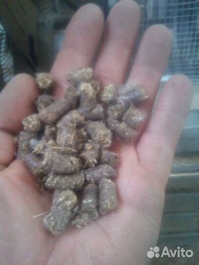 Гранулятор для корма