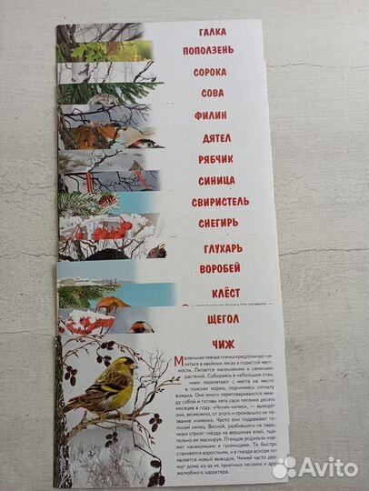 Обучающие карточки для детей