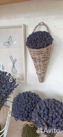 Лаванда сухоцветы