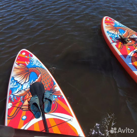 Sup борды на Хепоярви. Токсово аренда продажа