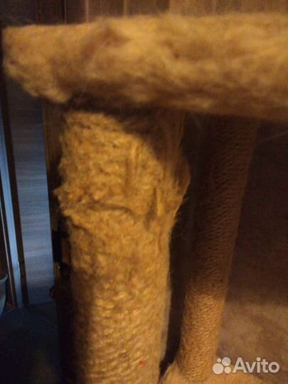 Когтеточка с домиком бу