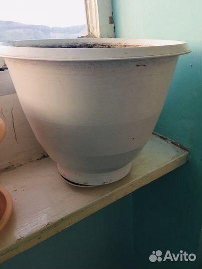 Большой цветочный горшок