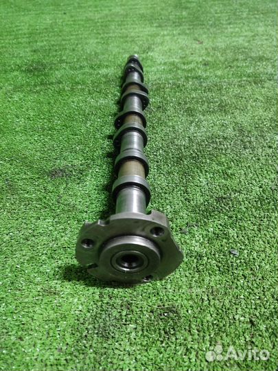 Распредвал Ford Transit 2.4 2006-2014