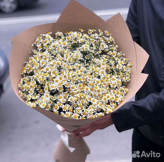 Цветы ромашки. Букеты ромашек. Цветы доставка
