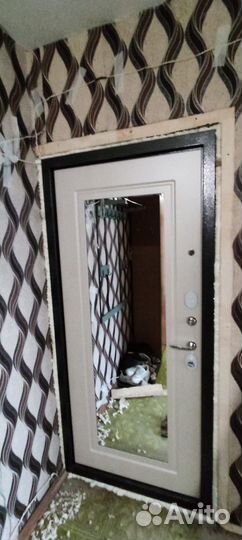 Дверь входная металлическая с зеркалом