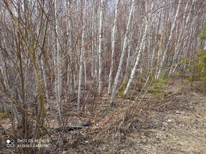 Участок 20 сот. (СНТ, ДНП)