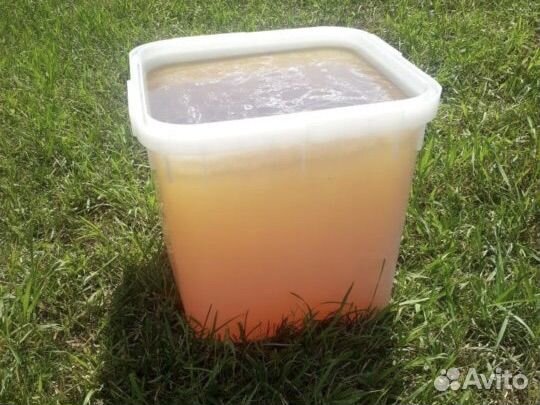 Мёд оптом Алтайский