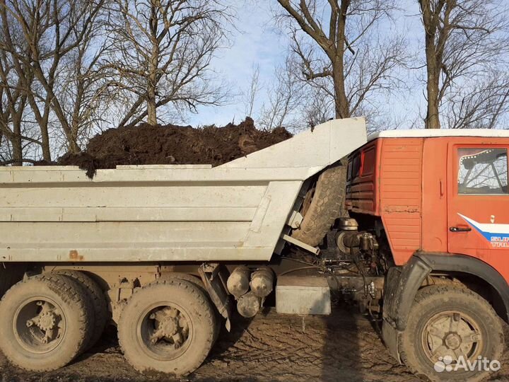 Навоз Коровы