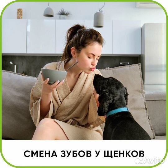 Скорая ветеринарная помощь. Выезд на дом