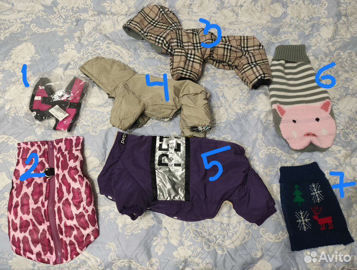 Тёплый зимний комбинезон и другая одежда