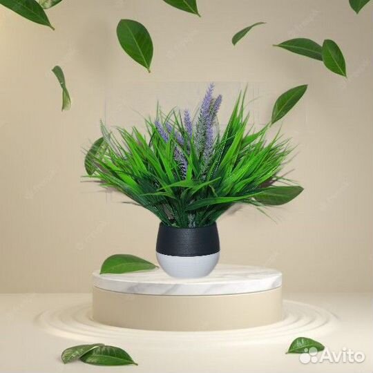 Зелень декоративная в горшке