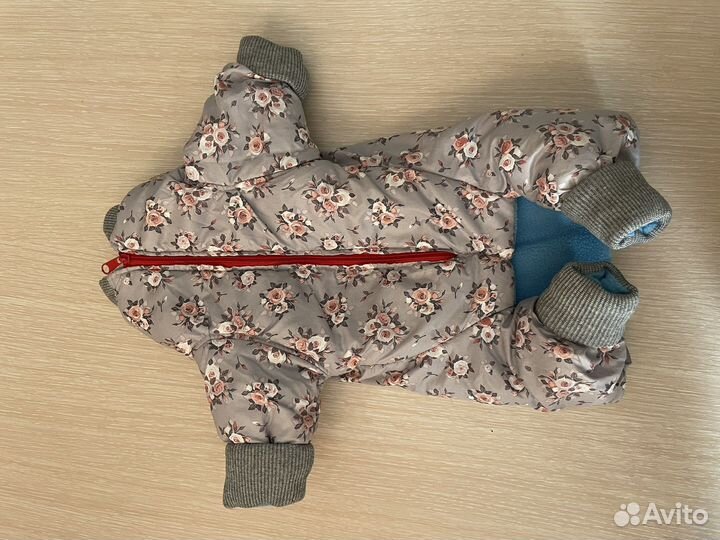 Комбинезоны для собак