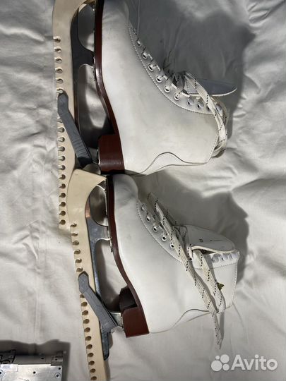 Коньки фигурные caprice